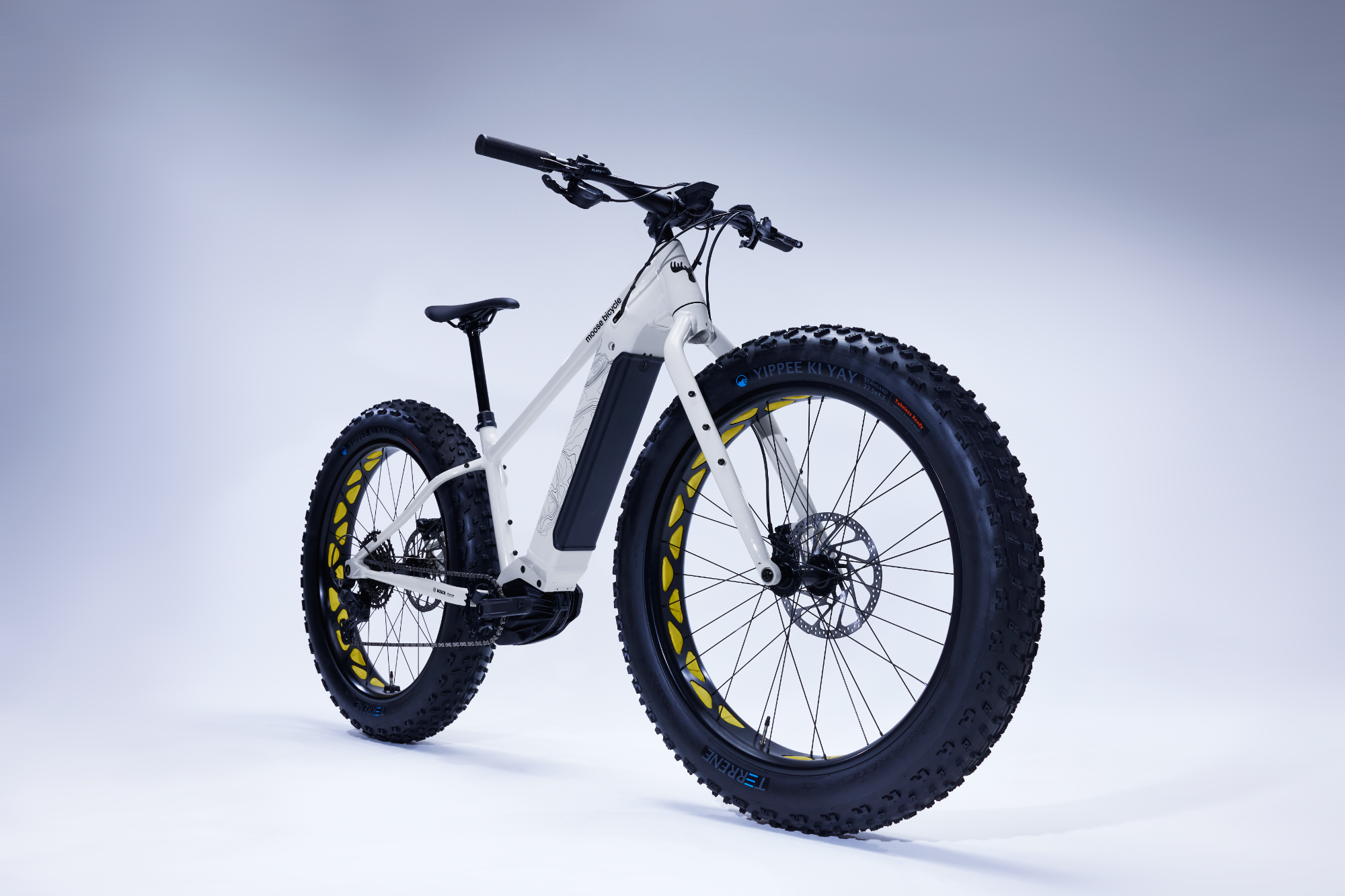 Electric bikes