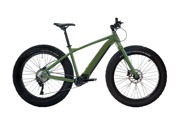 Fat tire e bikes sale