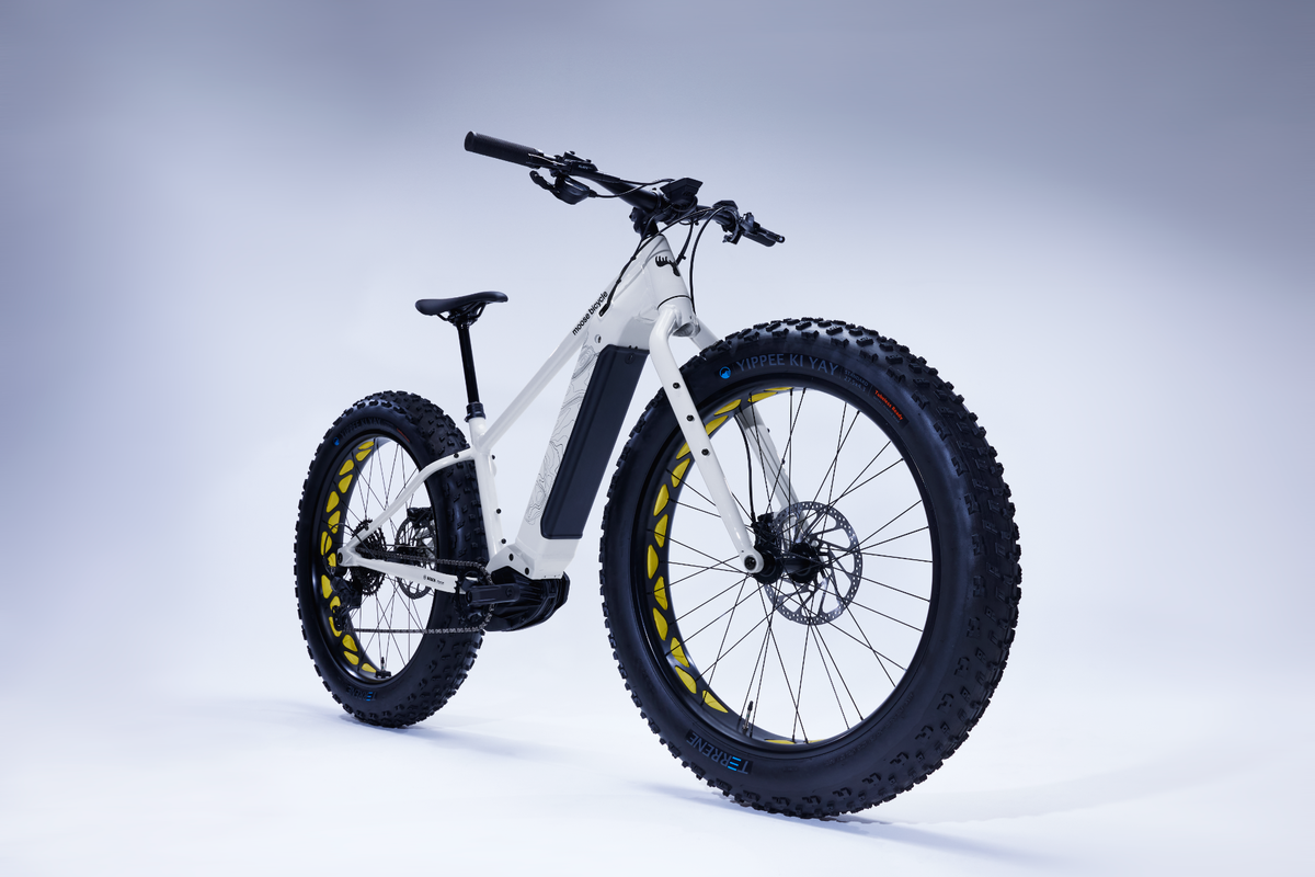 Moose Bicycle