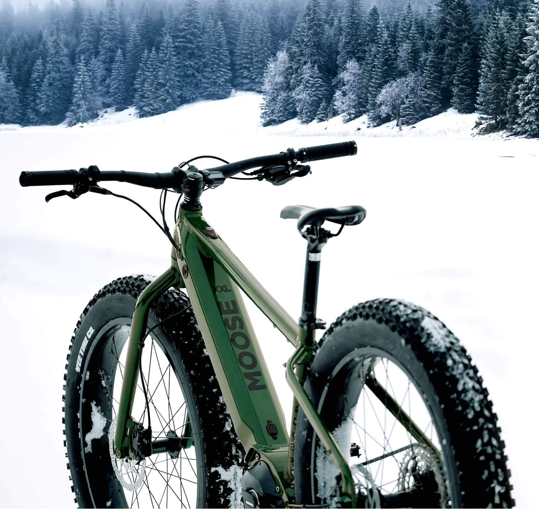 E Fat Bike: The Ultimate Electric Experience for rough terrain!